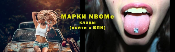 шишки Белоозёрский