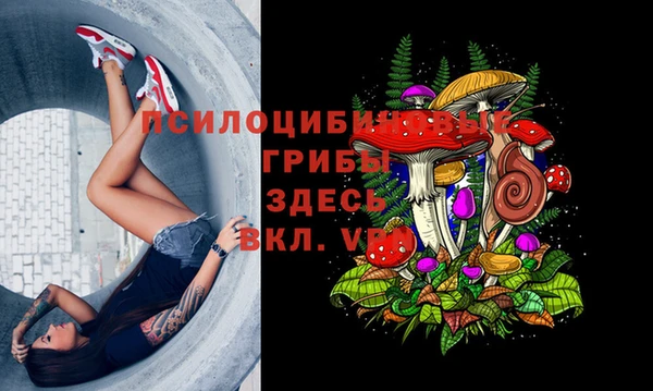 меф Белокуриха