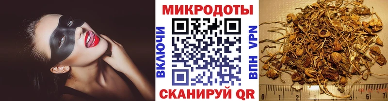 закладки  Эртиль  Псилоцибиновые грибы MAGIC MUSHROOMS 